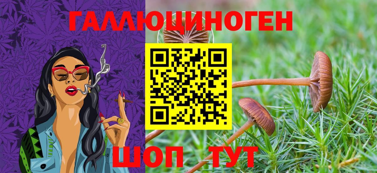 наркота  Вход с VPN  Рассказово  Галлюциногенные грибы прущие грибы 